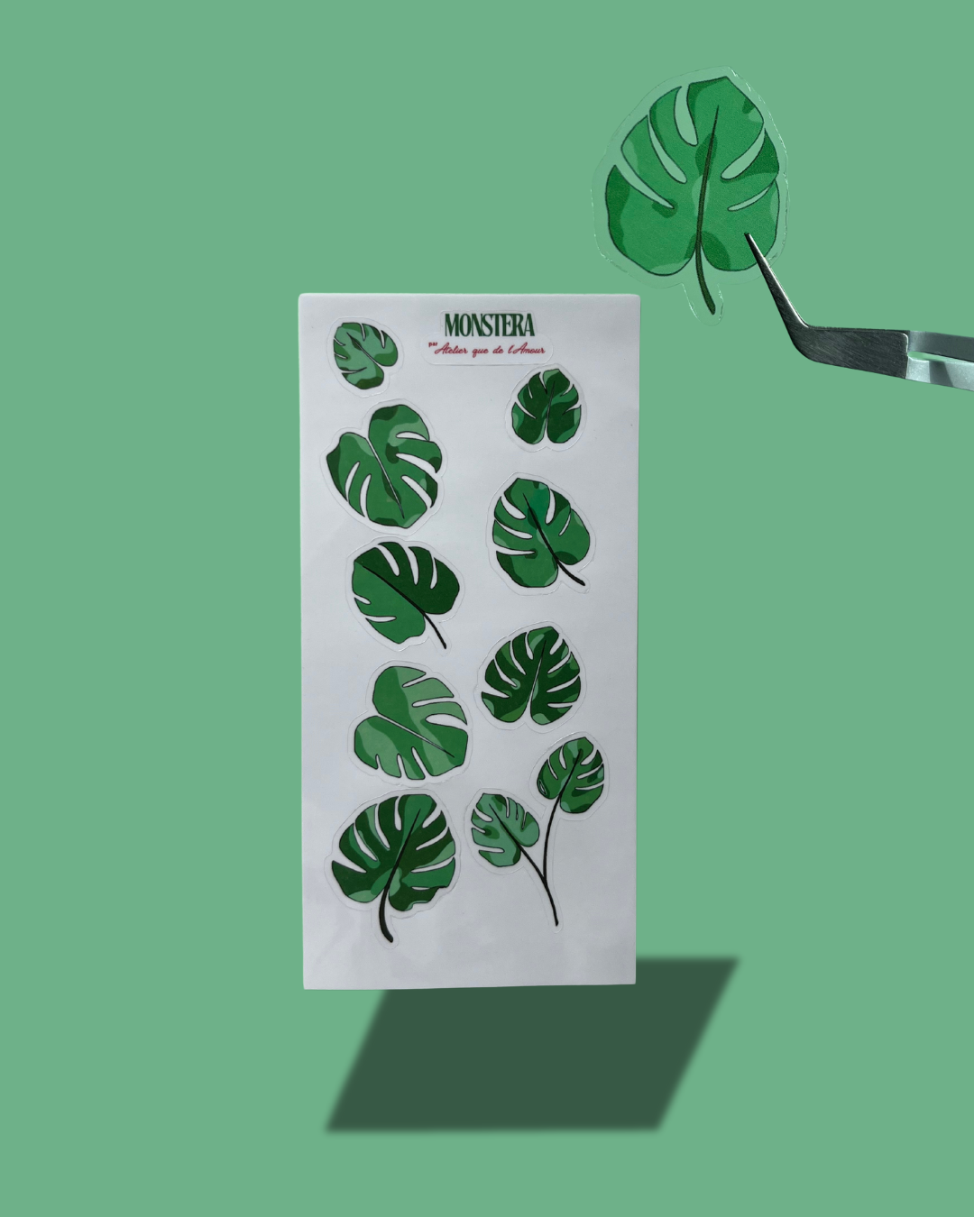 Monstera - Planche de stickers transparents